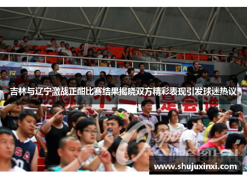 吉林与辽宁激战正酣比赛结果揭晓双方精彩表现引发球迷热议