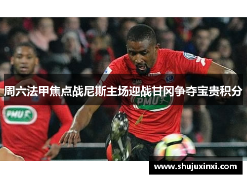 周六法甲焦点战尼斯主场迎战甘冈争夺宝贵积分