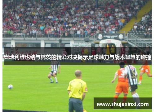 奥地利维也纳与林茨的精彩对决揭示足球魅力与战术智慧的碰撞