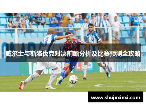 威尔士与斯洛伐克对决前瞻分析及比赛预测全攻略