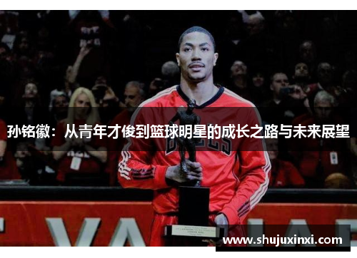孙铭徽：从青年才俊到篮球明星的成长之路与未来展望