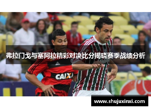 弗拉门戈与塞阿拉精彩对决比分揭晓赛季战绩分析