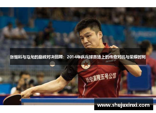 张继科与马龙的巅峰对决回顾：2014年乒乓球赛场上的传奇对抗与荣耀时刻