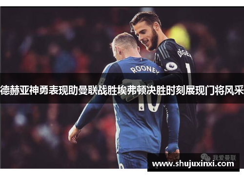 德赫亚神勇表现助曼联战胜埃弗顿决胜时刻展现门将风采