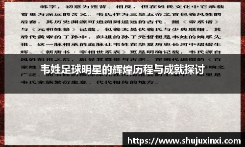 韦姓足球明星的辉煌历程与成就探讨